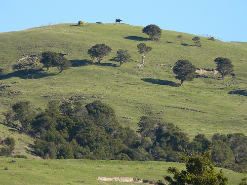 Собственно сам холм Таумата.
